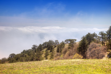 Mountain landscape