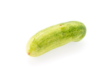 Cucumber