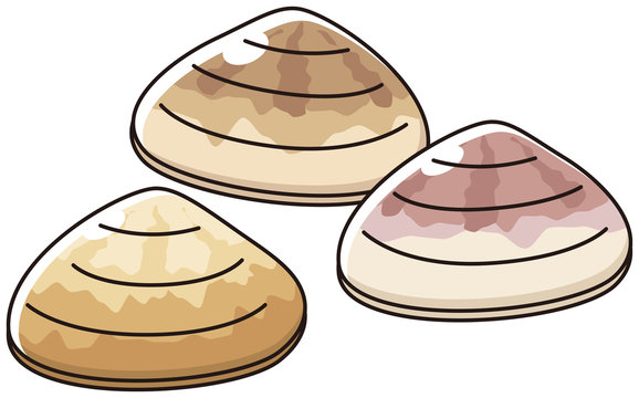 はまぐり