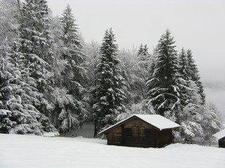 cabin