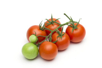 tomato on the white background