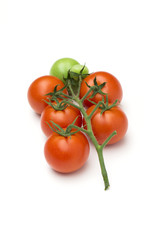 tomato on the white background