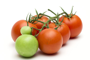 tomato on the white background