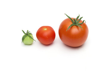 tomato on the white background