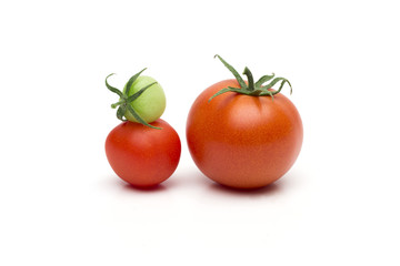 tomato on the white background