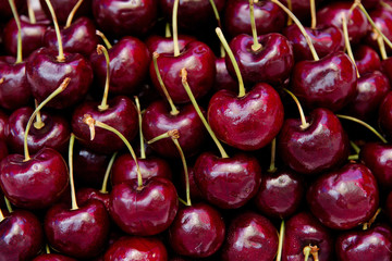 Fresh cherries