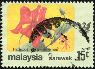 stamp printed in Malaysia shows Hibiscus rosa