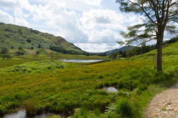 Naklejka premium The Lakes Blea Tarn Lake District Cumbria England UK