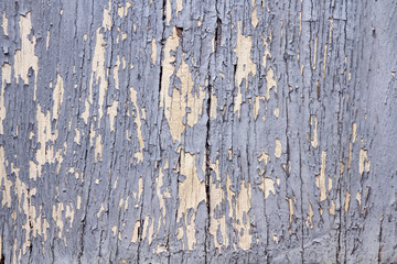 Obraz premium texture