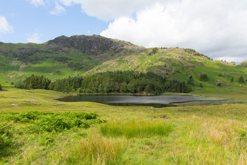 Obraz premium Blea Tarn Lake District Cumbria England UK