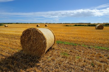 Bele słomy po żniwach, Krajobraz wiejski © janmiko