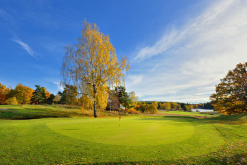 Jesień na polu golfowym, Szwecja - obrazy, fototapety, plakaty