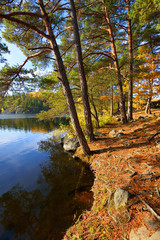 Jesień nad jeziorem, Szwecja