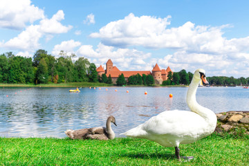 Trakai Schloss - Litauen