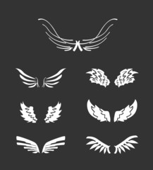 White wings collection