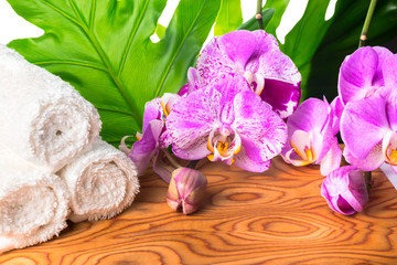 Spa still life with unusual lilac orchid flowers, phalaenopsis a