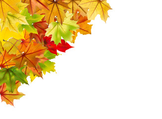 Beautiful autumn frame isolated in white