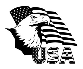 American eagle against USA flag.