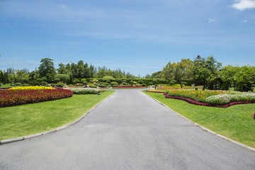 An Image of Park in Thailand