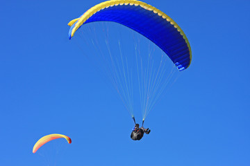 paraglider