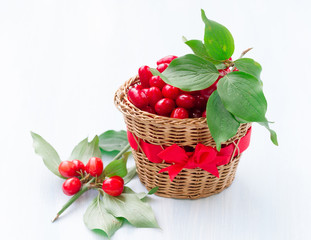 Fototapeta na wymiar fresh cornel berries on a wooden background