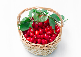 fresh cornel berries on a wooden background