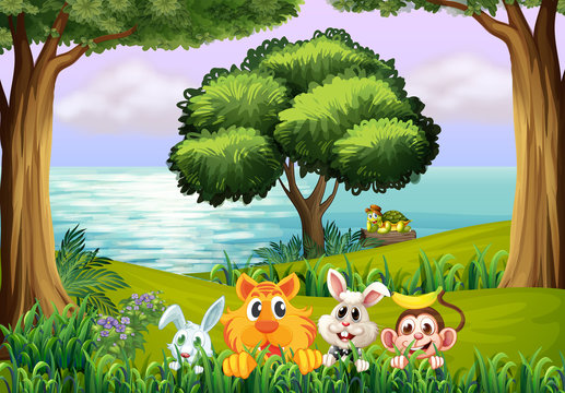 Animals at the forest