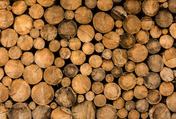 pile of chopped fire wood