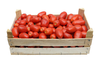 wooden crate full of tomatoes