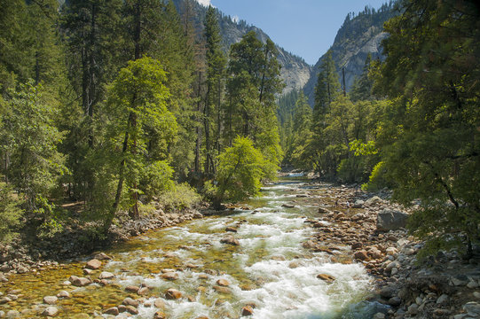Tenaya creek at Yosemite National Park