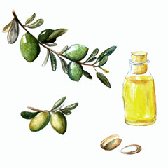 Watercolor vector illustration of argan brunch, fruits, nuts and