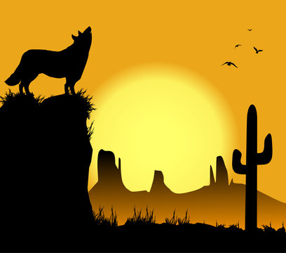 lupo nel deserto