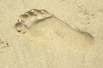 footprint