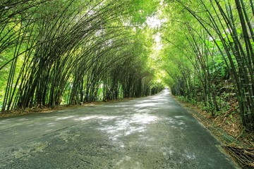 The streets are filled with bamboo sides