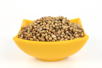 Coriander Seeds in Melamine Bowl