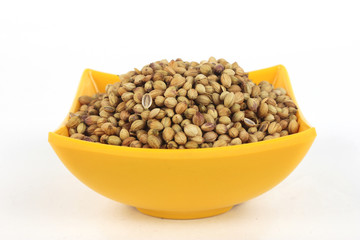 Coriander Seeds in Melamine Bowl