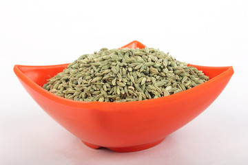 Fennel seeds in a melamine bowl isolated on white