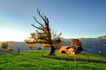 Obrazy na Plexi  krajobraz górski, Szwajcaria, alpy