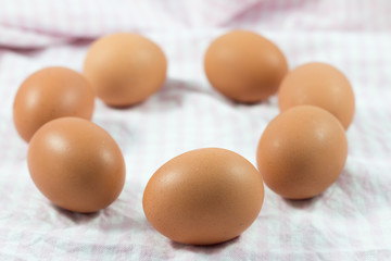 Circle of egg