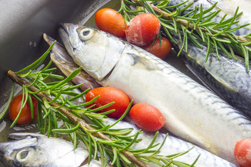 Mackerel baked with tomatoes