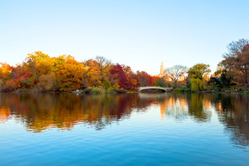 The Lake and Bow Bridge in Central Park on clear Autumn Day