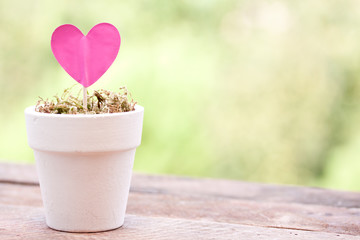 pink heart