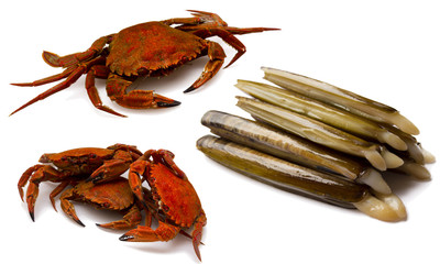 seafood isolated