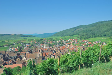 Fototapeta na wymiar der bekannte Weinort Riqewihr im Elsass nahe Colmar