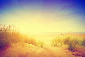 Calm ocean and sunny beach with dunes and green grass. Vintage