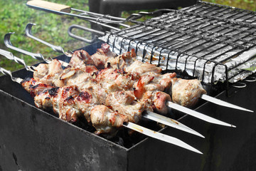 Kebabs on grill