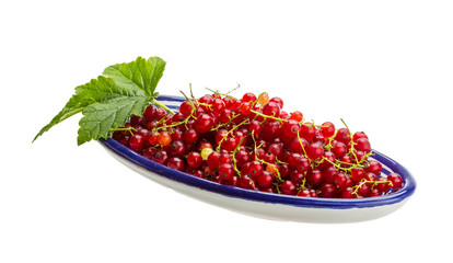 Red currant