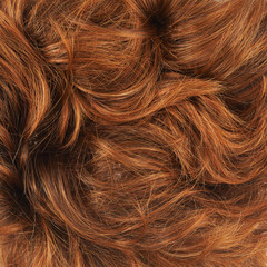 Hair fragment as a background composition