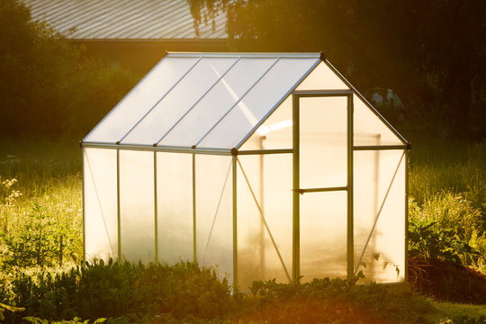 Small Greenhouse In Backyard