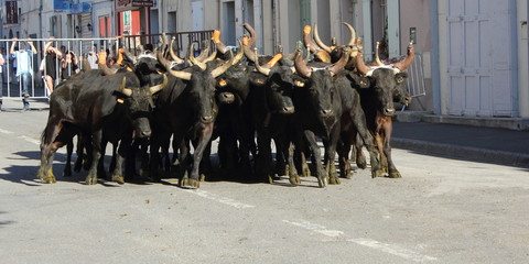 F&eacute;ria se St R&eacute;my